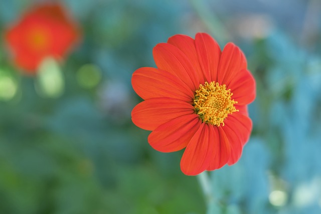 能够平衡比 能够平衡比