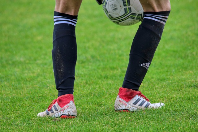 勞塔羅的續 勞塔羅的續