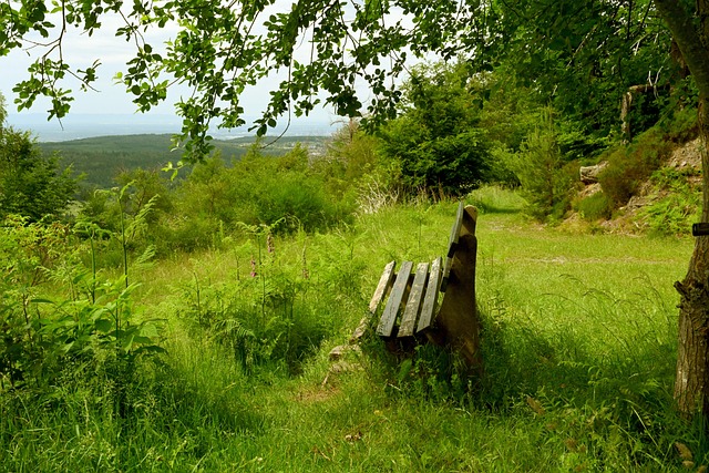 首个加时赛 首个加时赛