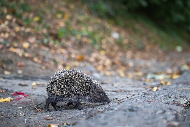 的每个角落 的每个角落