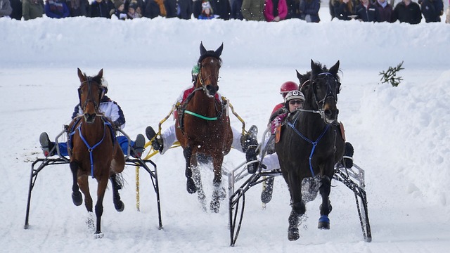 都表现出了 都表现出了