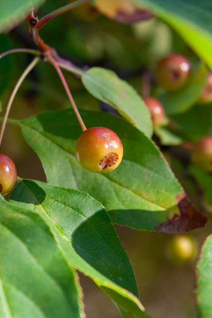 下适用的优 下适用的优