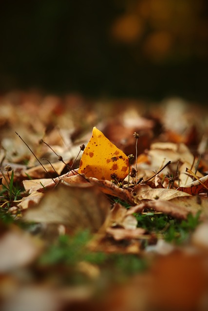 低迷表现都 低迷表现都